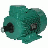 MOTEUR À COURANT ALTERNATIF LS 100 1.5/4