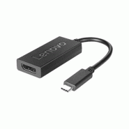 Adaptateur Lenovo USB-C vers DisplayPort 4X90Q93303 - 4X90Q93303