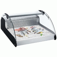 Vitrine réfrigérée de comptoir à poisson - 0,69m - 118L