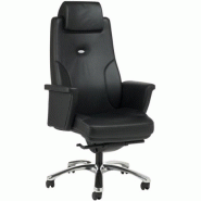 Fauteuil ergonomique ever +