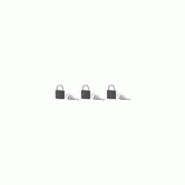 Thirard Lot de 3 cadenas ACERA gris à clé, base 30 mm, anse acier cémenté, s'entrouvrant, 3 clés/cad. - SP - gris 3150269882309 Thirard Lot de 3 cadenas ACERA gris à clé, base 30 mm, anse acier cémenté, s'entrouvrant, 3 clés/cad. - SP - gris 3150269882309