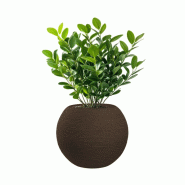 Vase Sphérique En Résine Botticelli Marrone, Pour Plantes D'Intérieur Et D'Extérieur, Diamètre 40Xhauteur 33 Cm - marron 8055829983128_0