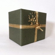 Papier cadeau Tramessa vert mat et dorure à chaud  0,70x25m