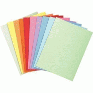 Paquet de 100 chemises 210g Paquet de 100 chemises 210g
