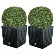 WellHome - Lot de 2 jardinières 32 L Rato en coloris anthracite avec boule de buis de 36 cm - marron plastique PK3908