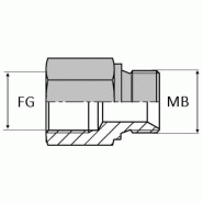 Adaptateur droit mâle BSP x femelle gaz cylindrique prolongé pour bague BS - 1"1/4' , 28.95 , 1"1/4' , 41.91