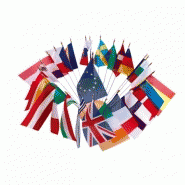 Bouquet de drapeaux européens pour table