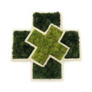 Croix de pharmacie végétales - Lichen scandinave pour l'intérieur uniquement, Vert forêt, Style 2_0