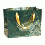Clairefontaine Lot de 5 Sac cadeau Emeraude, grand format (32x13x24,5 cm), papier 170 g/m², ruban satin assorti - 3329682129159