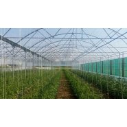 Serre à travées multiples conçue pour la couverture de vastes surfaces - Multimed