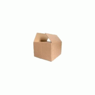 Carton simple 260x210x250mm 20un - 2625