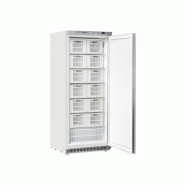 Coolhead Congélateur professionnel - 600 L - 13 paniers - Thermostat numérique - Porte auto-fermante - Cool Head - 0605848543568
