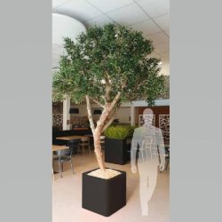 OLIVIER artificiel - grand arbre d'intérieur