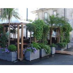 Jardinière en polypierre Polver - légère, résistante aux intempéries, pour intérieur et extérieur