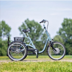 Tricycle Maxi Van Raam - Tricycle Individuel avec Options Personnalisables