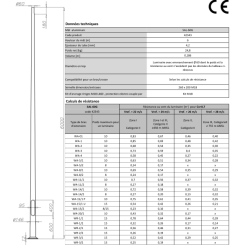 Mât d'éclairage public SAL 60G - aluminium anodisé - hauteur 6 m - diamètre 60 mm - base Ø146 mm