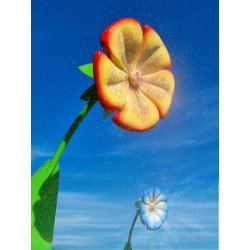 Pataugeoire - Fleur de brumisation en inox et polyester - Effets d'eau variés