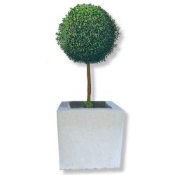 Jardinière carrée en pierre reconstituée - Forme cubique - Résistante au gel et aux hivers froids - Disponible en deux tailles
