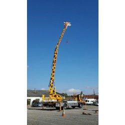 Location de camion nacelle - idéal pour paysagistes - sécurité et confort pour travaux en hauteur