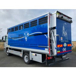 Bétaillère pour poids lourds - BÉTHALU Cargo 6m00 sur porteur PTC 12t00 pour transport d'animaux et bovins