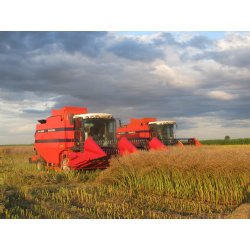 Moissonneuse batteuse dp4000