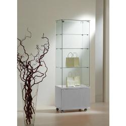 Vitrine d'exposition 6/18MVA - largeur 60 cm - verre trempé - gris