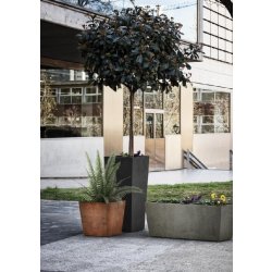 Jardinière en béton Malva CO50 - CO60 - CO80 - CO4080 - CO50110 - PI50 - PI90 - PI6025 - PI8040 - PI9840