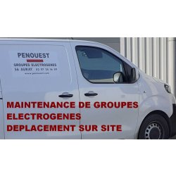Maintenance de groupes electrogenes - FG WILSON