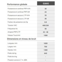 Alpha G30IO - Groupe électrogène industriel Genmac - Puissance continue PRP 24 kW - Châssis renforcé et fabrication italienne