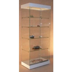 Vitrine d'exposition toit 2 spots