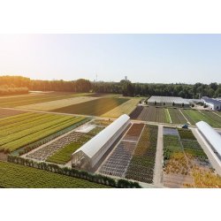 Serre tunnel agricole en acier robuste et économique - Sunmax