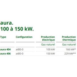 Aura - Groupe électrogène industriel 2G Energie SAS - 100 à 150 kW - Propre et performant, faibles émissions