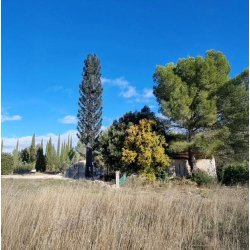 Pylônes arbres - Sekoia - réalistes, 12 à 30 m, tronc brun ou noir