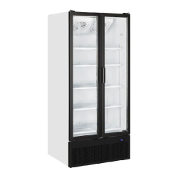 Vitrine réfrigérée 2 portes battantes Tefcold FS890H