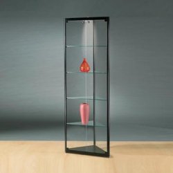 VITRINE D'ANGLE 500