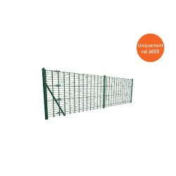 Grillage soudé maille 50x50mm Ral 6005 - 1000