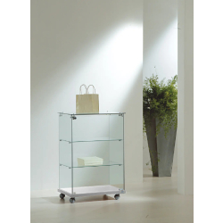 Vitrine basse en verre trempé 6/90VA - gris - 60x40x90 cm avec tablettes amovibles et serrure