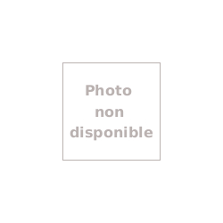 Lampadaire solaire urbain à LED - Acier galvanisé thermolaqué 3.5 m - 30 W / 3600 Lm - Modèle ARL-GL003