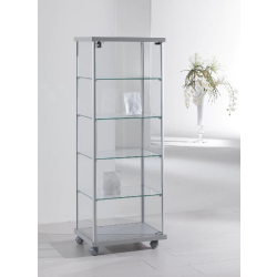Vitrine standard en verre 53-14VA - gris clair - 4 tablettes amovibles - porte avec serrure
