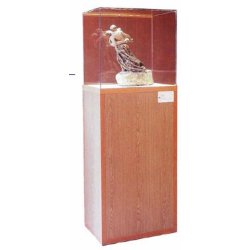 Vitrine cloche sur socle