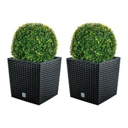 WellHome - Lot de 2 jardinières 32 L Rato Low en coloris anthracite avec boule de buis de 36 cm - marron plastique PK3926