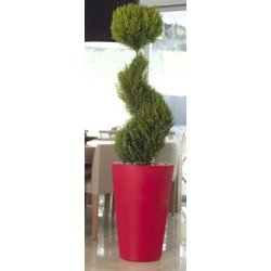 Bac à fleur conique haut en polyéthylène - Pylcoh - Simple ou double paroi, avec options