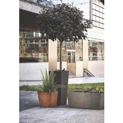 Jardinière en béton design S-Malva - BOW - Préfabriquée, ronde, différentes tailles disponibles