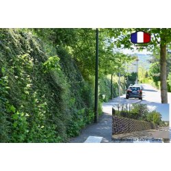 Mur de soutènement végétalisé < à 4m - atalus 50