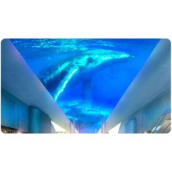 Plafond Digital pour l'ambiance et l'esthétique de bâtiment