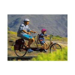 Vélo pour handicapé à double commande équipé de 7 vitesses- Copilot
