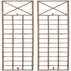 Décoshop26 - Lot de 2 treillis décoration mural jardin roses plantes grimpantes 198 x 40 cm métal marron vieilli 10_0008918 - métal 3000266913073
