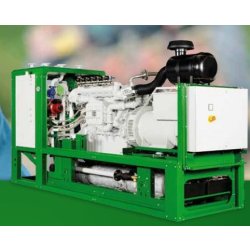 Patruus - Groupe électrogène industriel 50 à 64 kW - 2G Énergie SAS - Technologie robuste et modulaire
