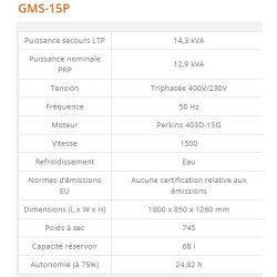 Groupe électrogène industriel GMS-15P - Generac - 14,3 kVA - Série GMS Standard