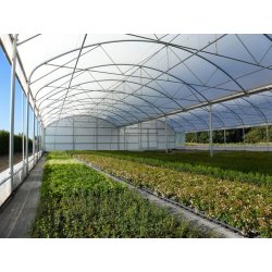 Serre bi-tunnel professionnelle 9,60 m pour surface de 800m² à 3000m²- JRC